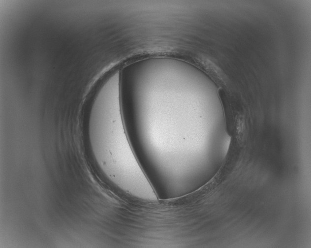 X0000067890684200604131329