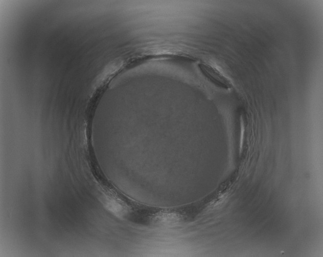 X0000067890685200604131329