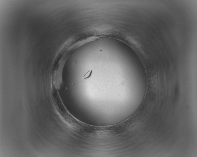 X0000067890686200604131329