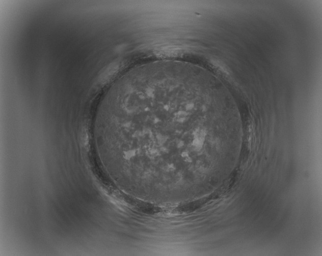 X0000067890687200604131329