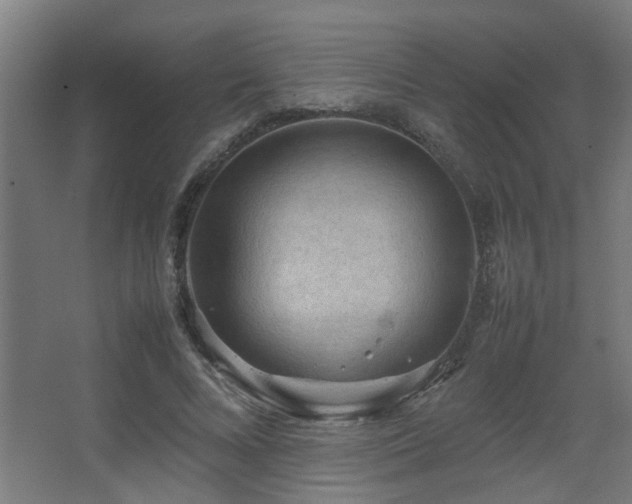 X0000067890688200604131329