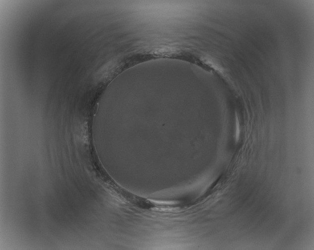 X0000067890689200604131329