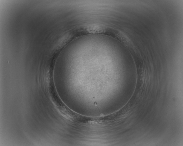 X0000067890690200604131329