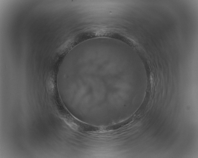 X0000067890691200604131329