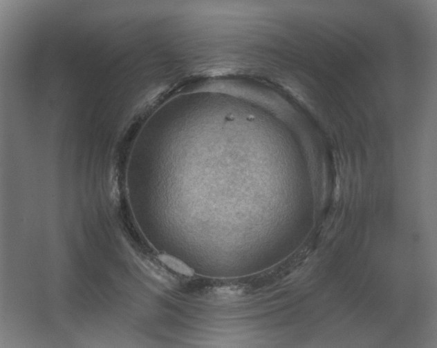 X0000067890692200604131329