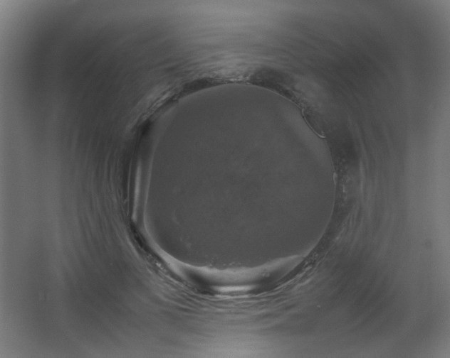 X0000067890693200604131329