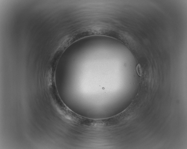 X0000067890694200604131329