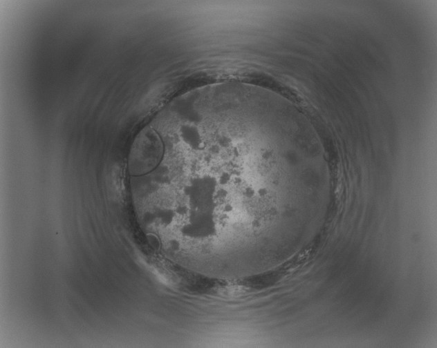 X0000067890695200604131329