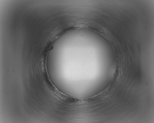 X0000067890696200604131329