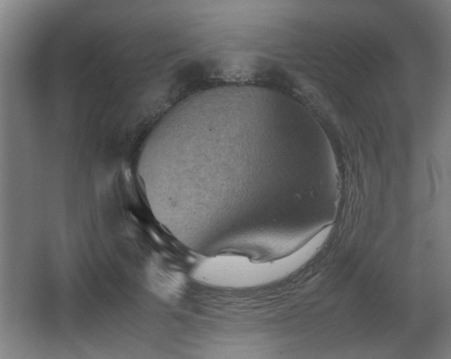 X0000067890697200604131329