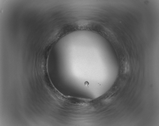 X0000067890698200604131329