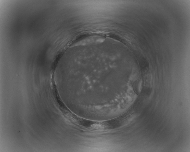 X0000067890699200604131329