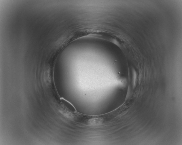 X0000067890700200604131329