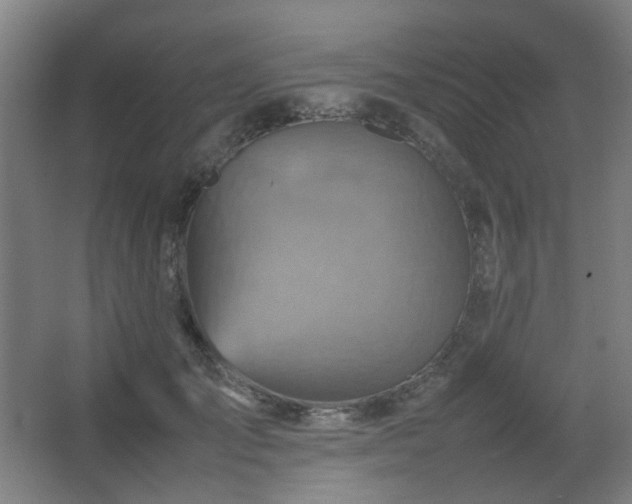 X0000067890701200604131329