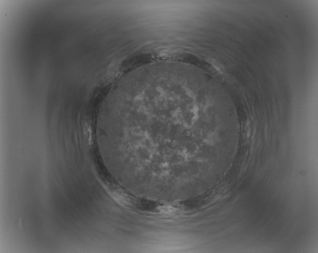 X0000067890703200604131329