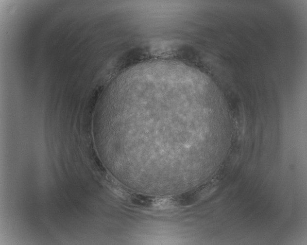 X0000067890705200604131328