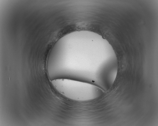 X0000067890706200604131328