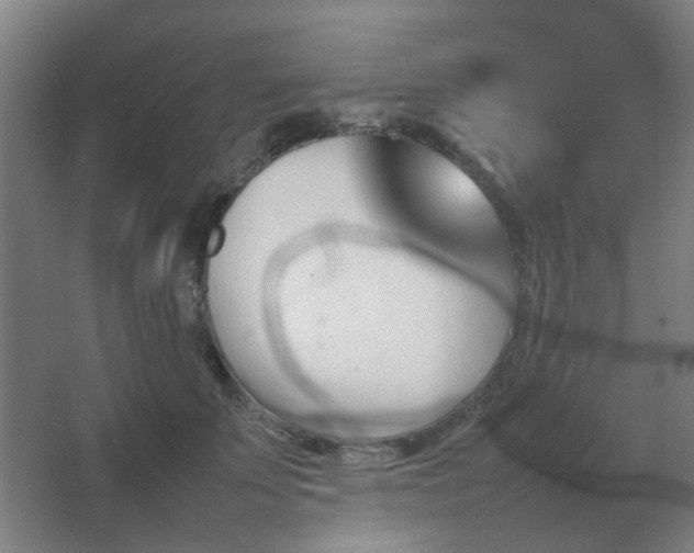 X0000067890707200604131328