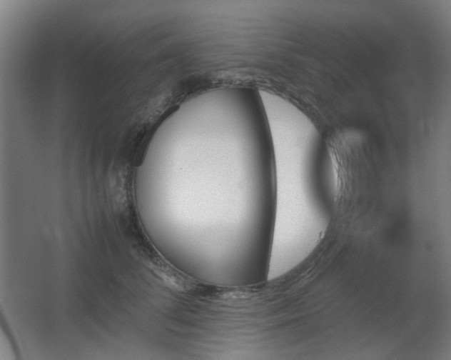 X0000067890708200604131328