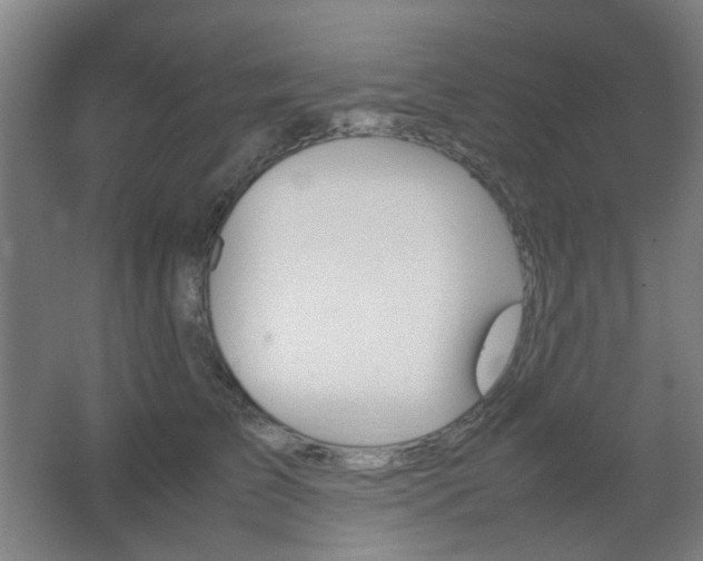 X0000067890709200604131328