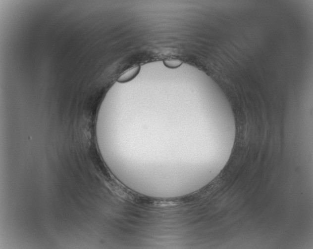 X0000067890710200604131328