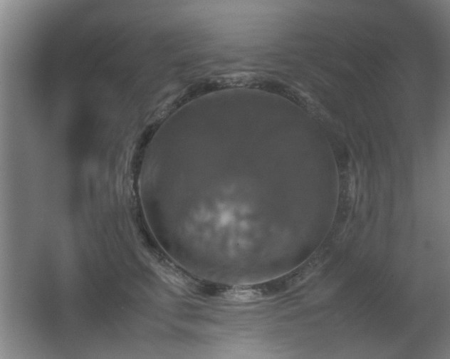 X0000067890711200604131328