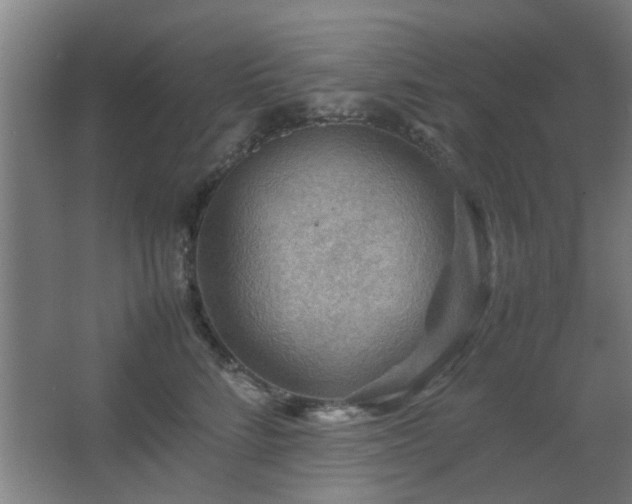 X0000067890712200604131328