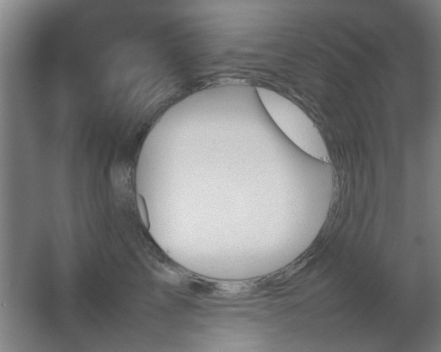 X0000067890713200604131328