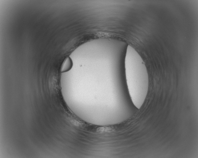 X0000067890714200604131328