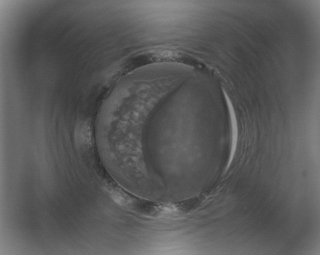 X0000067890715200604131328