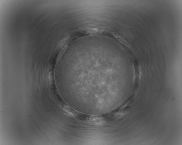 X0000067890716200604131328