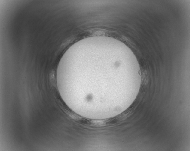 X0000067890717200604131328