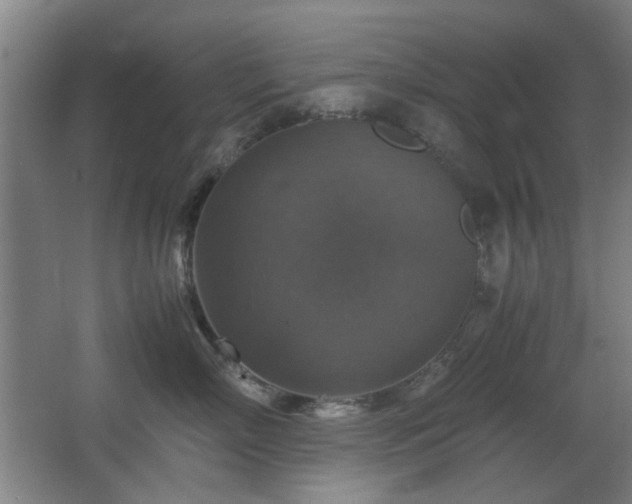 X0000067890718200604131328