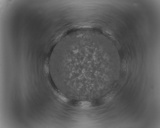 X0000067890719200604131328