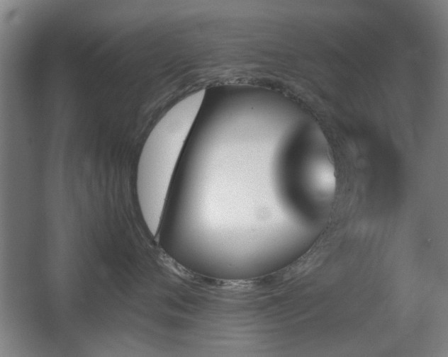 X0000067890720200604131328