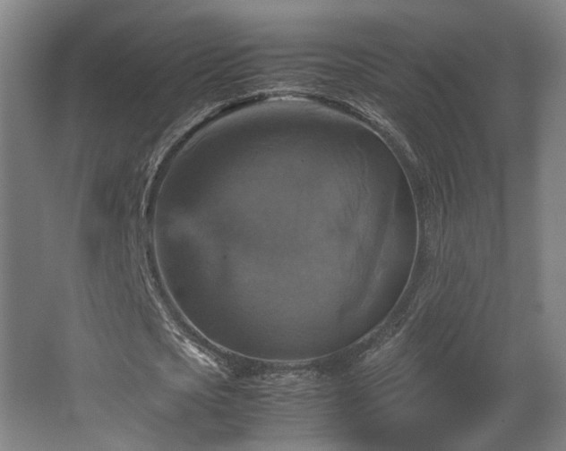 X0000067890721200604131327