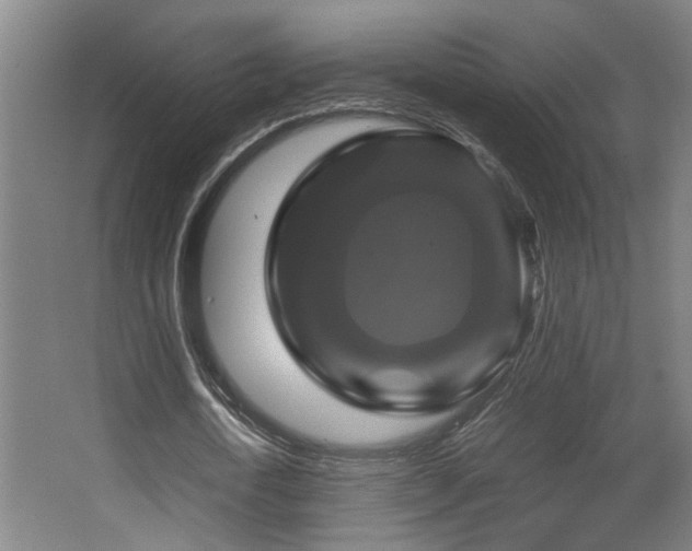 X0000067890722200604131327