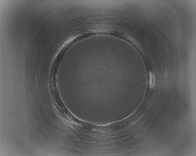 X0000067890723200604131327