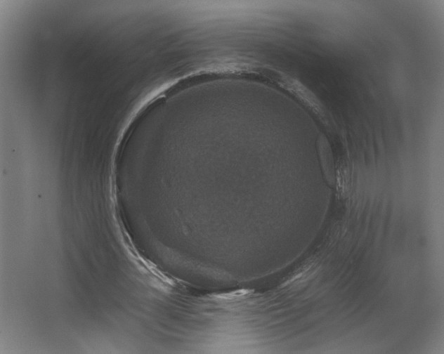 X0000067890724200604131327