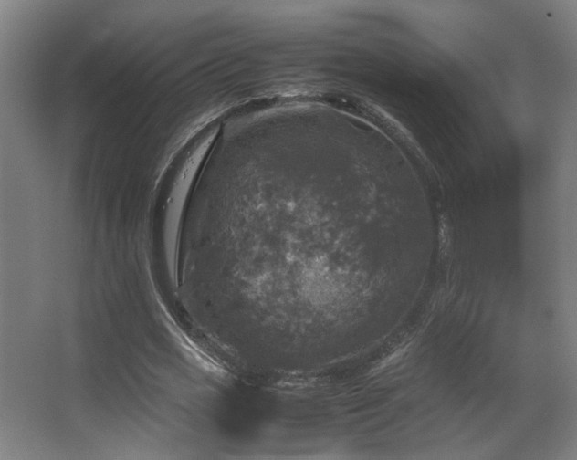 X0000067890725200604131327