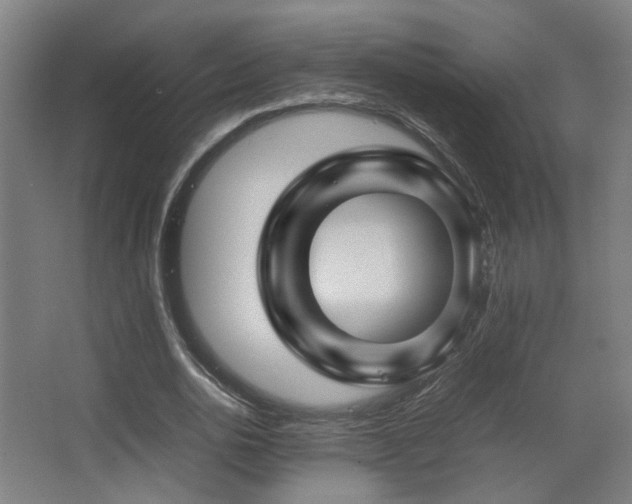 X0000067890726200604131327