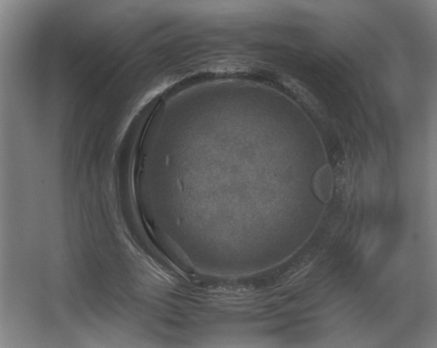 X0000067890727200604131328