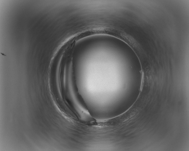 X0000067890728200604131328