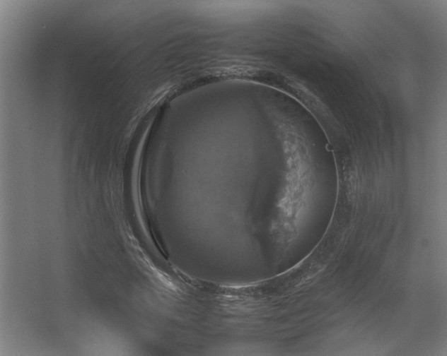 X0000067890729200604131328