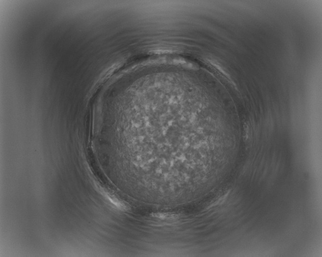 X0000067890733200604131328