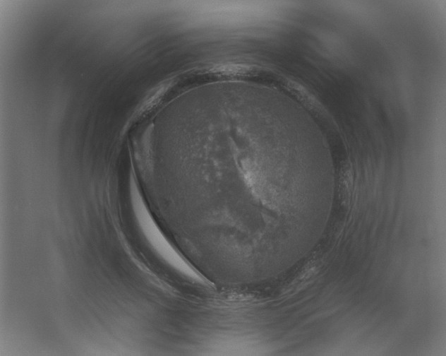 X0000067890734200604131328