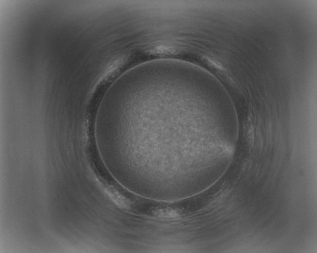 X0000067890735200604131328