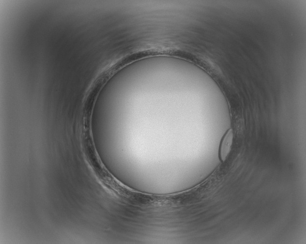 X0000067890736200604131328