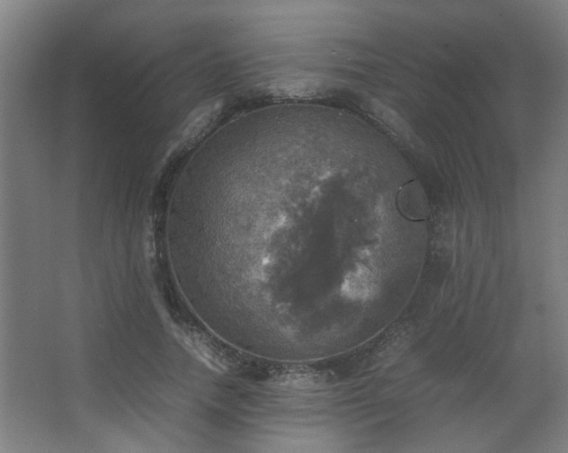 X0000067890738200604131328