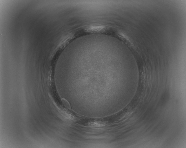 X0000067890739200604131328